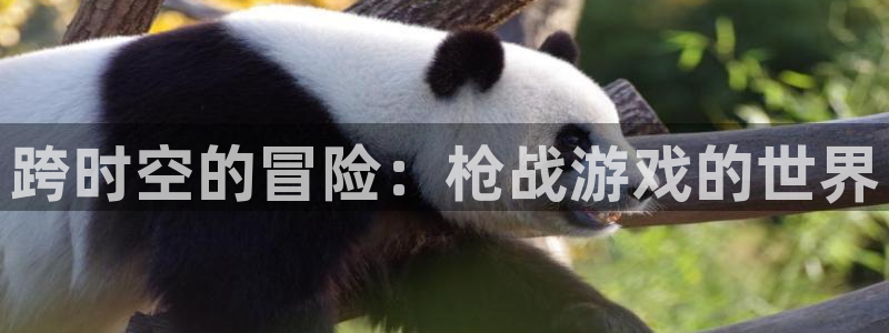 跨时空的冒险：枪战游戏的世界