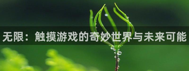 无限：触摸游戏的奇妙世界与未来可能