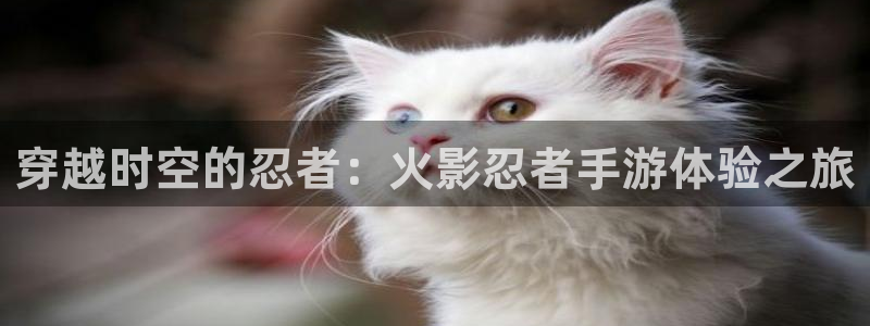 雷火竞技app官网客服电话