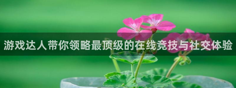 雷火竞技下载官网手机版