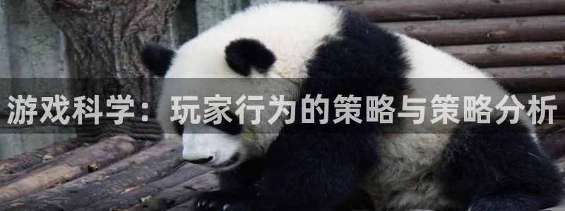 雷火竞技app下载官网：游戏科学：玩家行为的策略与策略分析