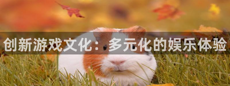 雷火竞技官网平台：创新游戏文化：多元化的娱乐体验