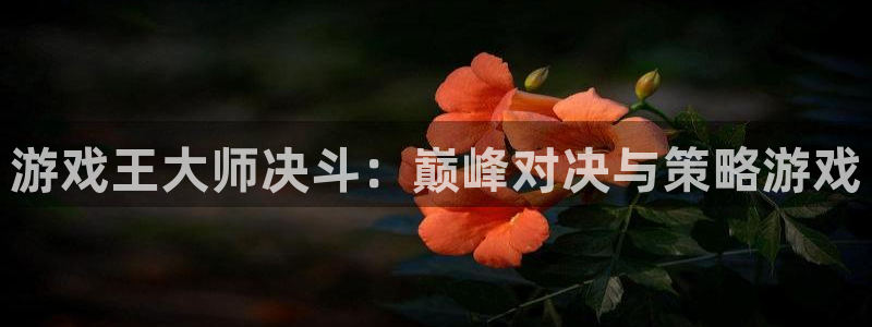 雷火竞技官网入口正式版